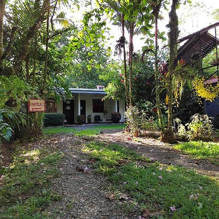 Casona Tica Linda Hotel Sarapiqui Bagian luar foto